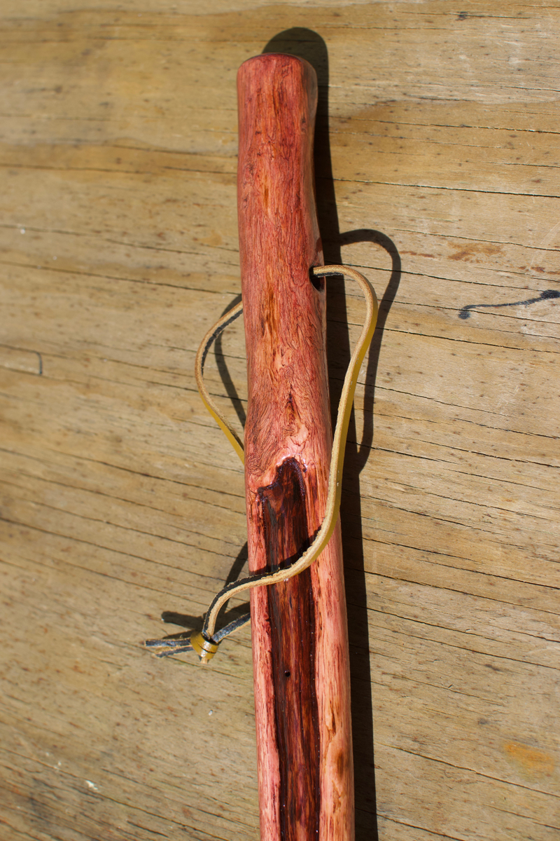 Illustration for article titled made a walking stick